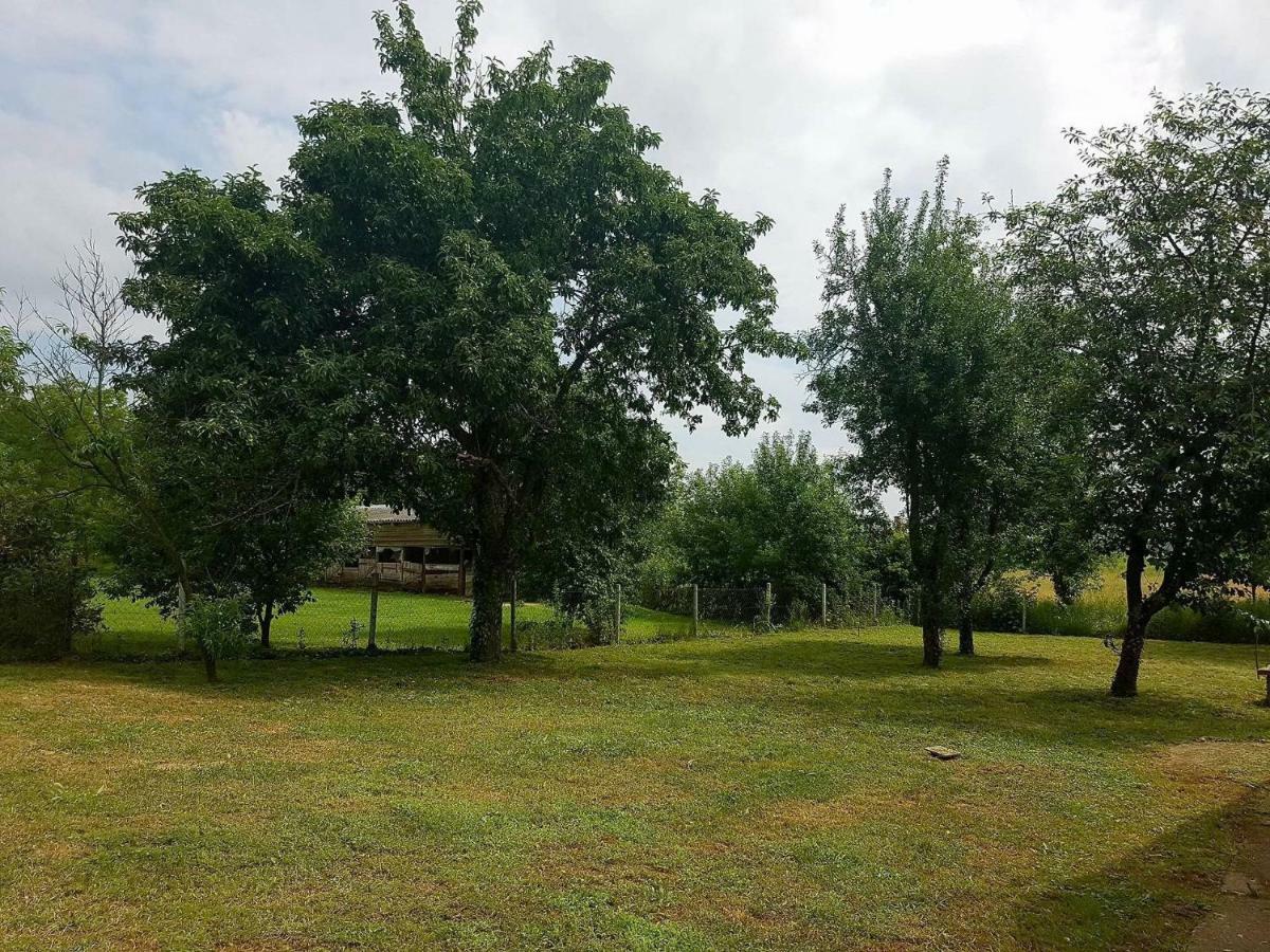 Veronika Guesthouse Dravatamasi Luaran gambar